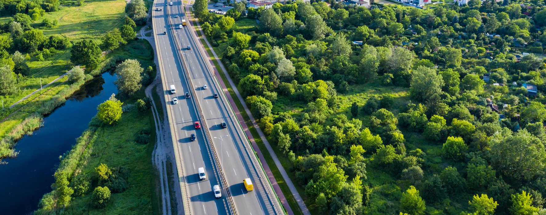 Cars on road with green trees