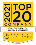 Top 20 Company 2021 